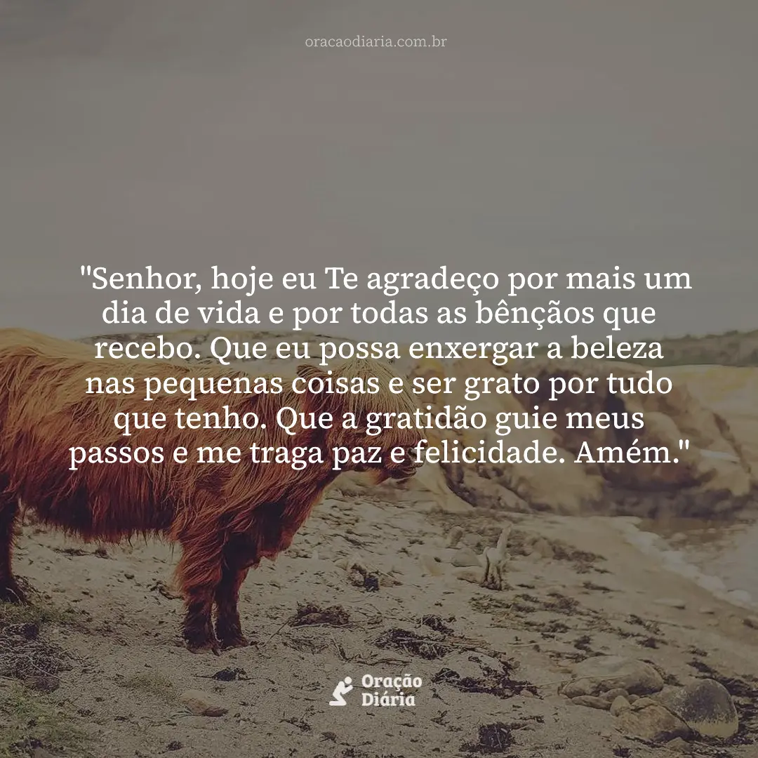 Oração do Dia, "Senhor, hoje eu Te agradeço por mais um dia de vida e por todas as bênçãos que recebo. Que eu possa enxergar a beleza nas pequenas coisas e ser grato por tudo que tenho. Que a gratidão guie meus passos e me traga paz e felicidade. Amém."